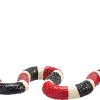 MJ 387251 animal planet coral snake 3 2