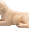 MJ 387272 animal planet labrador puppy 2 2