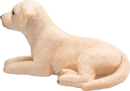 Mojo Labrador hundehvalp - Image 5