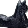 MJ 387367 animal planet cat lying black and white 5 2