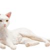 MJ 387368 animal planet cat lying white 3 2