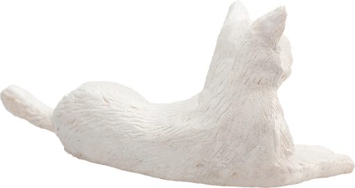 MJ 387368 animal planet cat lying white 4 2