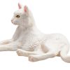 MJ 387368 animal planet cat lying white 5 2