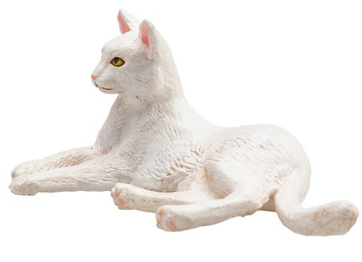 MJ 387368 animal planet cat lying white 5 2