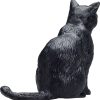 MJ 387372 animal planet cat sitting black 4 2