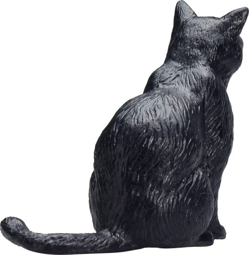 MJ 387372 animal planet cat sitting black 4 2