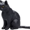 MJ 387372 animal planet cat sitting black 5 2