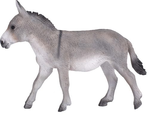 MJ 387397 animal planet donkey 2 2