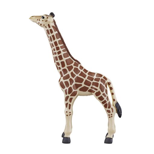 387007 Giraffe Calf 1