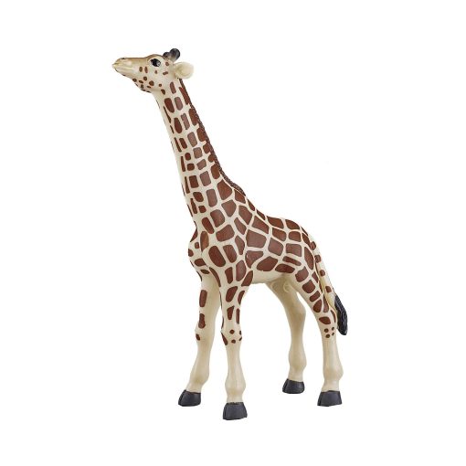 387007 Giraffe Calf 2