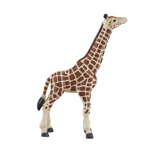 387007 Giraffe Calf 4