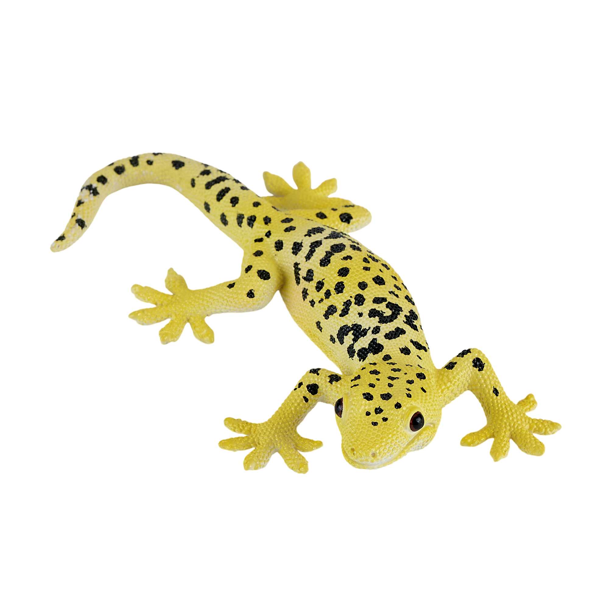 Mojo Leopard gekko 3 Mojo Leopard gekko - Billede 3