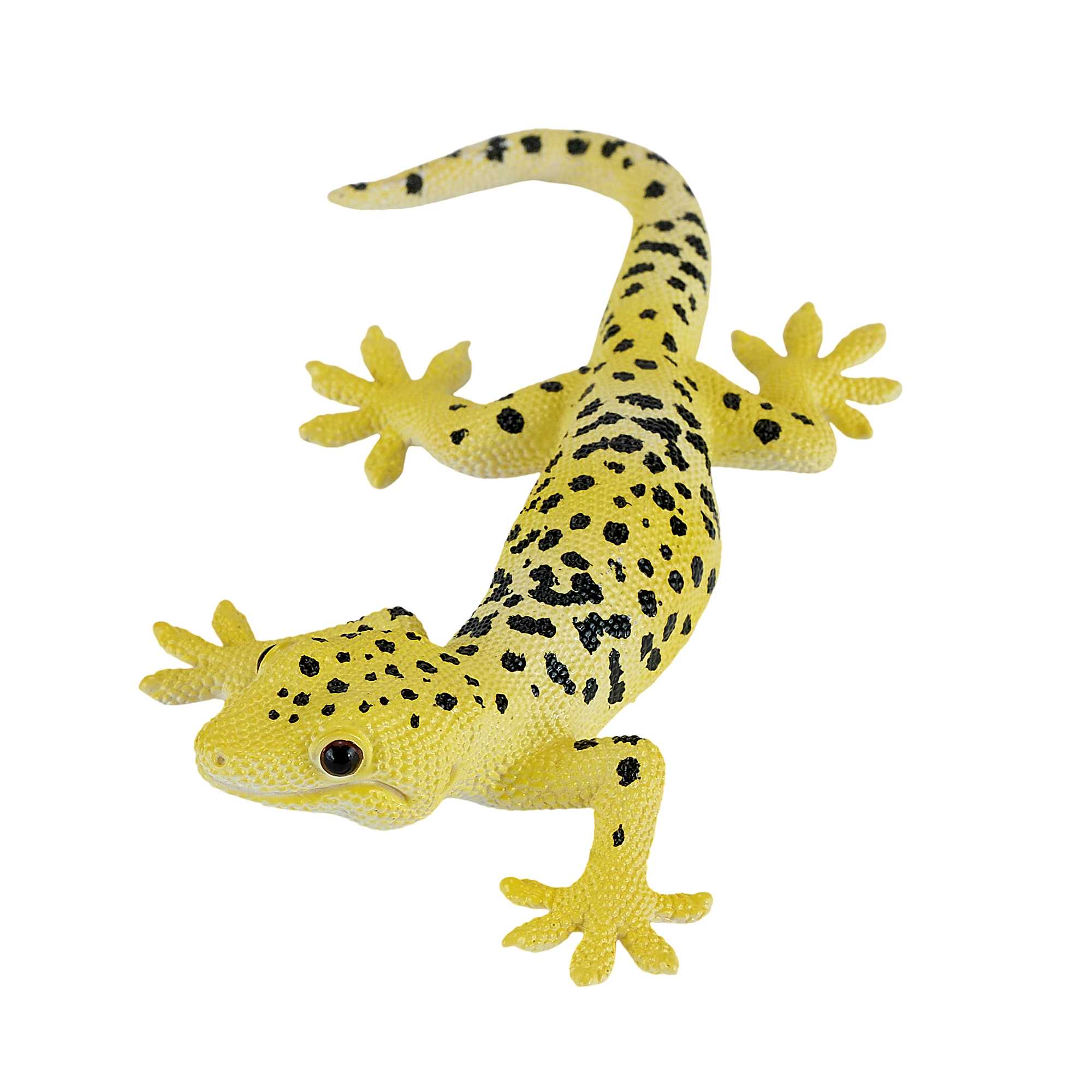 Mojo Leopard gekko 4 Mojo Leopard gekko - Billede 4