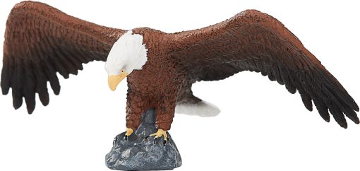 MJ 387027 american bald eagle 2