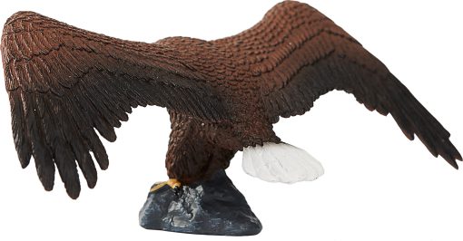 MJ 387027 american bald eagle 3