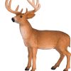 MJ 387038 animal planet white tailed deer buck 2