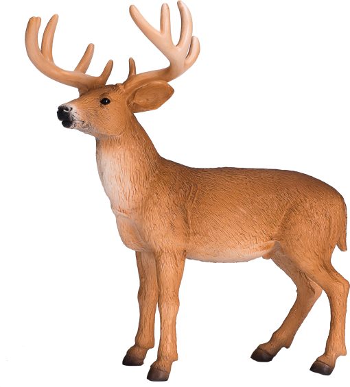 MJ 387038 animal planet white tailed deer buck 2