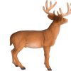 MJ 387038 animal planet white tailed deer buck 4