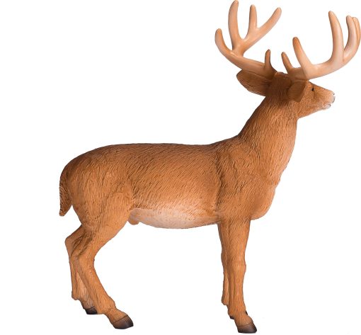 MJ 387038 animal planet white tailed deer buck 4