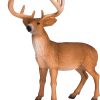 MJ 387038 animal planet white tailed deer buck 5