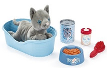 Cat Basket