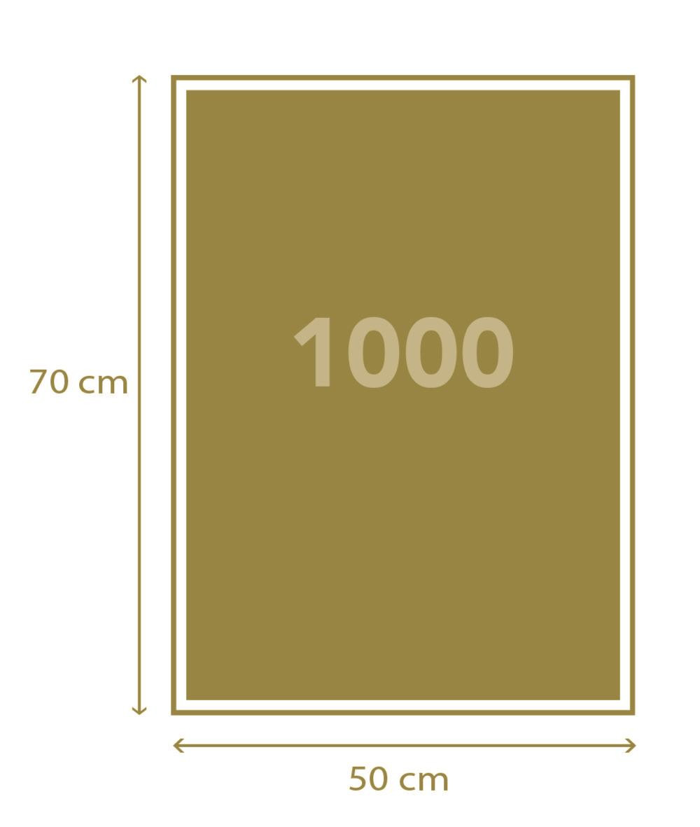 Puslespil HQC DC Comics 2, 1000 brikker 2 1000 brikker