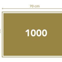 1000 brikker
