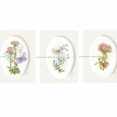 Butterfly Art print Set