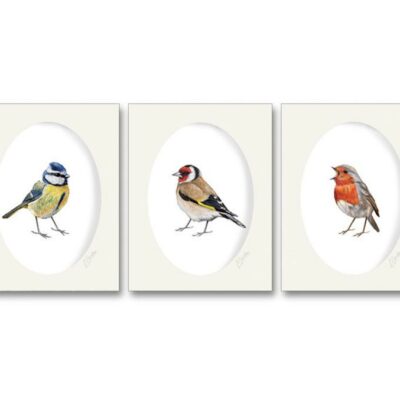 Bird art print set