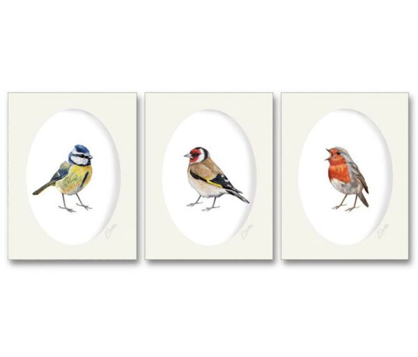 Bird art print set