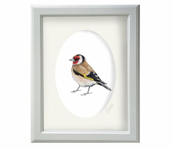 Goldfinch bird print