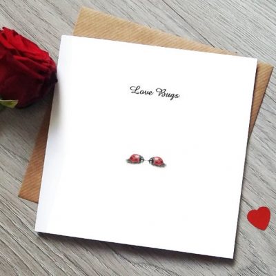 Ladybird Card Valentines Day Card