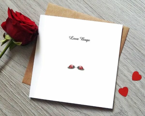 Ladybird Card Valentines Day Card