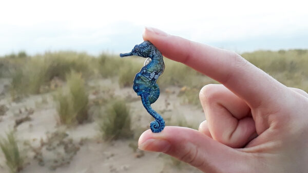 Seahorse gift