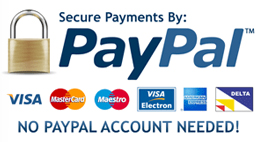 Secure Payments by Paypal