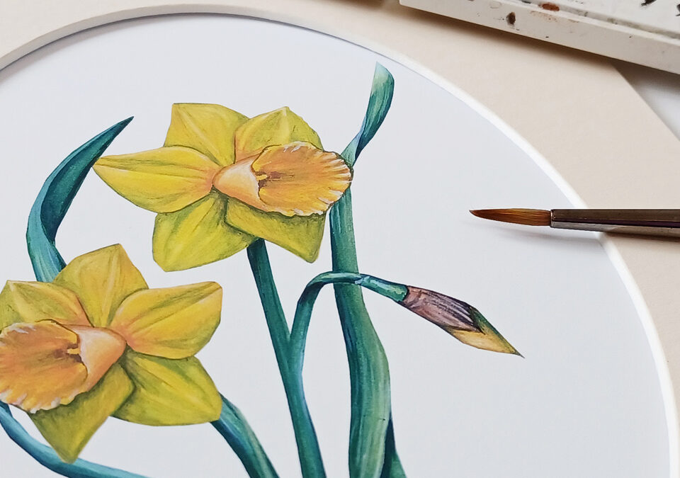 daffodil painting