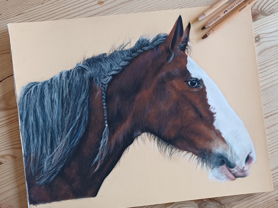 horse-portrait-artists