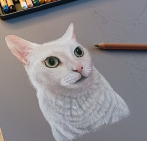 pet-pastel-portraits pet-pastel-portraits