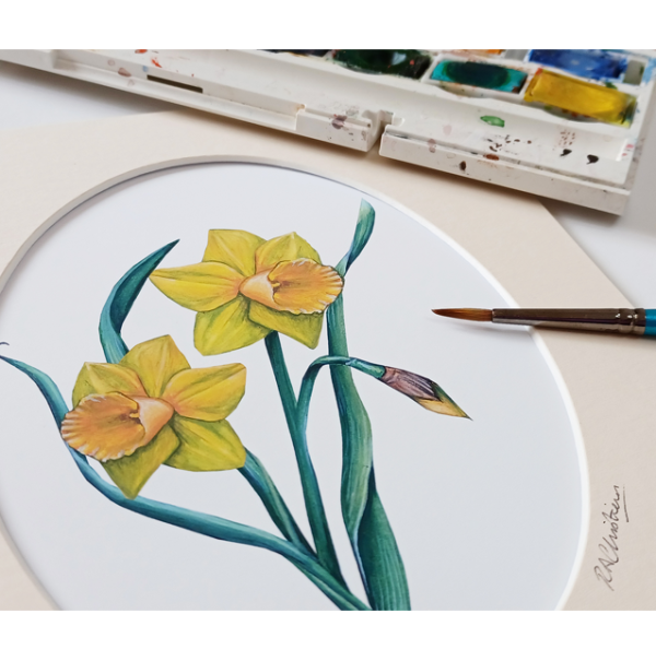 Daffodil Art