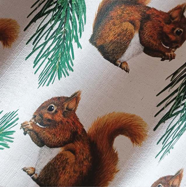 Red Squirrel