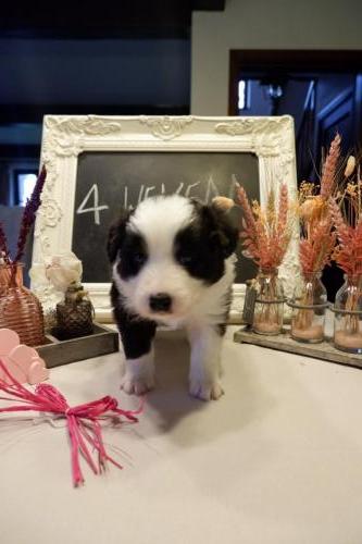 6621F92E-B1AB-48C4-A25D-D775D581336F-12340-00000BF6A072D1AD