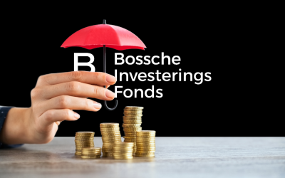 Wat investeerders zoals BIF zoeken in een scale-up