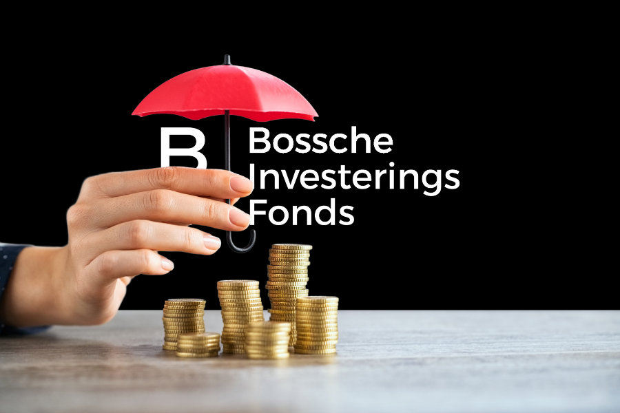 Wat investeerders zoals BIF zoeken in een scale-up