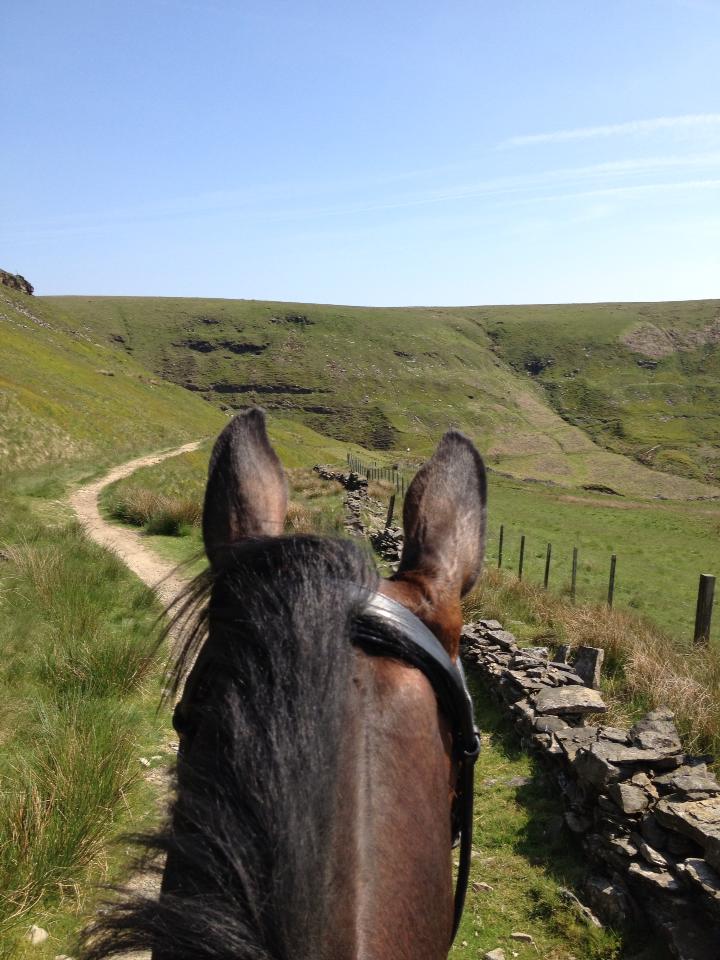 horse riding lessons school