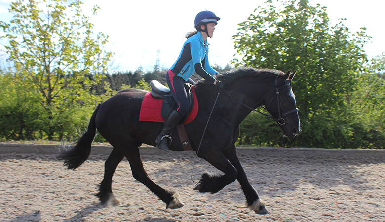 horse riding centre lessons rochdale bolton