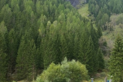 RP Glocknerlamm 041