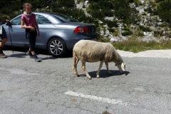 Kranjska Gora 2017 005