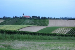 Weinviertel-2019-010