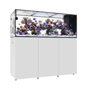WATERBOX Infinia Peninsula