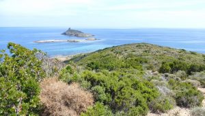 Campen auf Korsika Plage de Tamarone